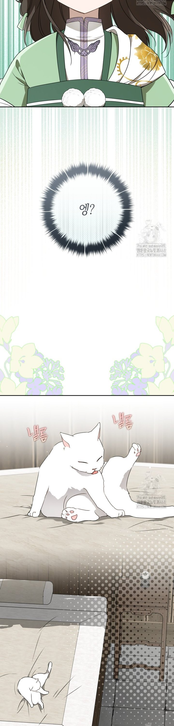 1740870385666gry0hrqyzjg.jpg